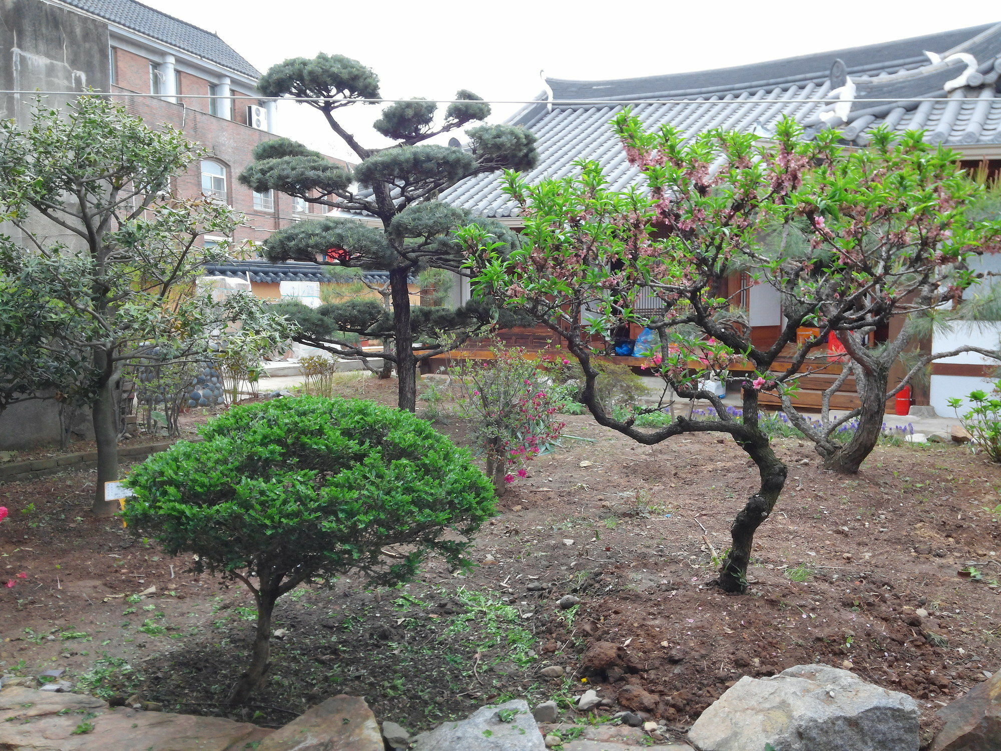 Sodamwon Jeonju Extérieur photo