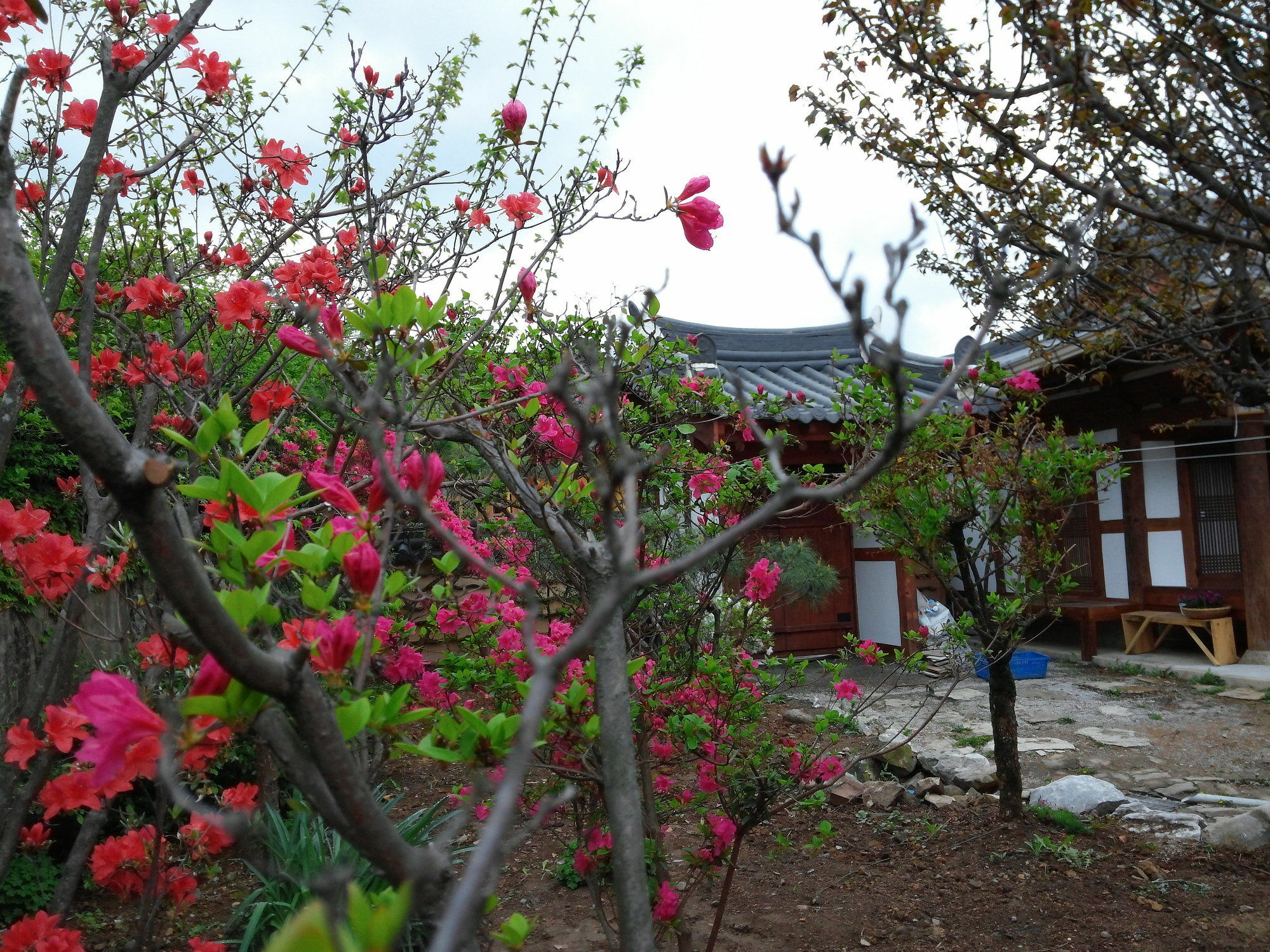 Sodamwon Jeonju Extérieur photo