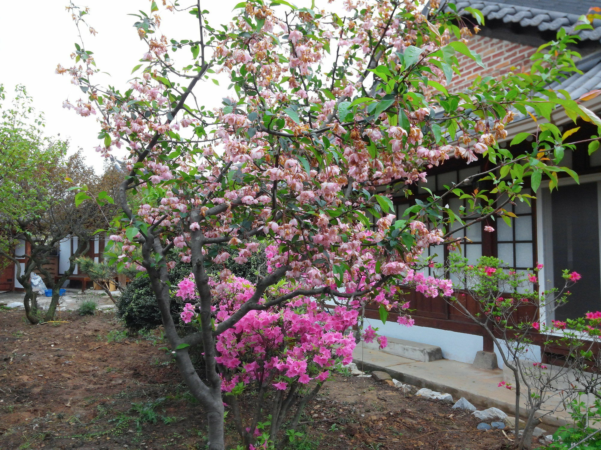 Sodamwon Jeonju Extérieur photo